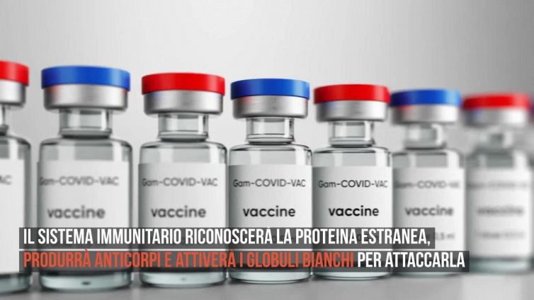 Vaccino Pfizer, le FAQ su composizione e reazioni allergiche