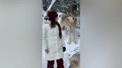 L'incredibile gesto del lupo