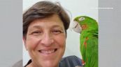 La commovente storia del pappagallo salvato con un becco artificiale
