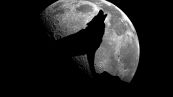 28 gennaio, stasera c’è la luna piena del lupo