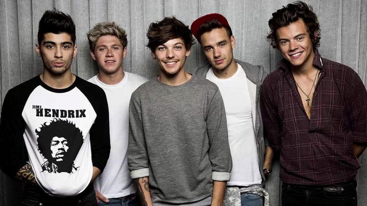 Oltre Harry Styles: cosa fanno oggi i componenti degli One Direction
