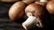 Funghi: calorie, proprietà ed effetti sulla dieta
