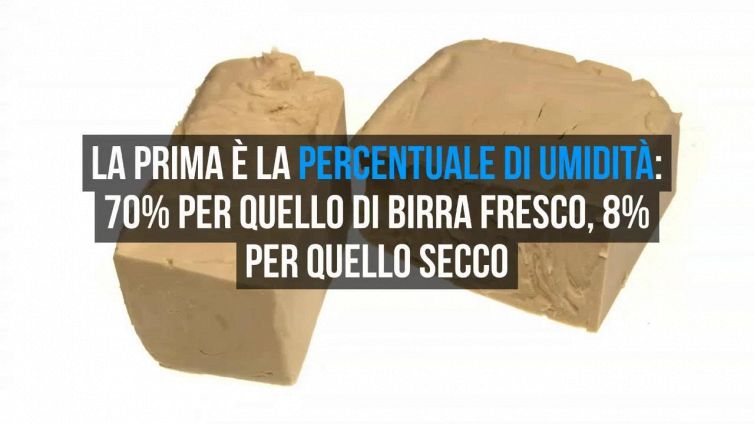 Sai che differenza c'è tra lievito in polvere e lievito di birra?