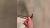 La parte della doccia che non pulite mai: il trucco per toglierla