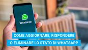 Come usare lo stato di WhatsApp senza segreti
