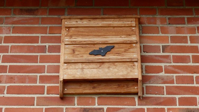 Bat Box stermina zanzare: come installarle e perché