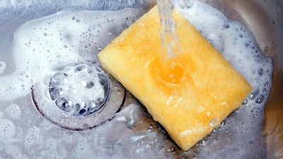 Spugnette di casa, come igienizzarle in pochi secondi