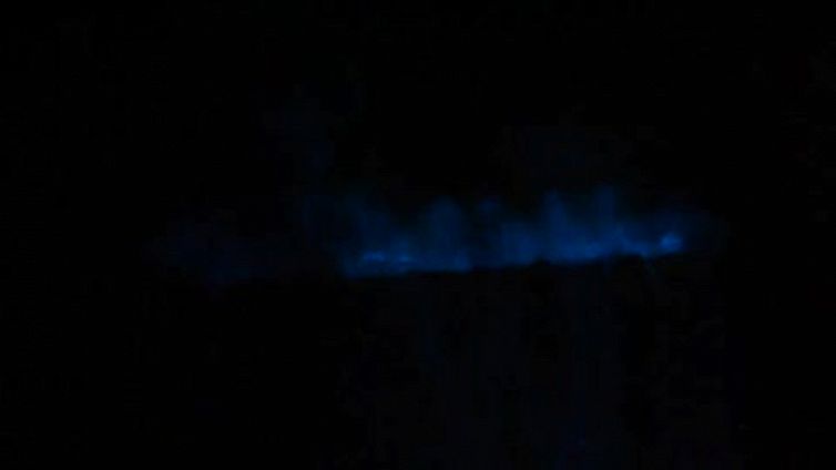 L'effetto bioluminescente della Noctiluca scintillans