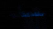 L'effetto bioluminescente della Noctiluca scintillans