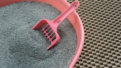 Come prendersi cura della lettiera del gatto