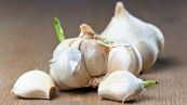 Perché non devi eliminare il germoglio dall'aglio