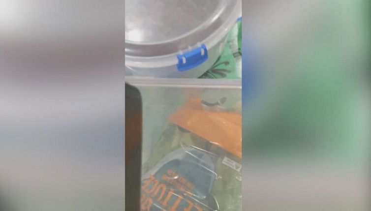 Spesa da brividi: dalla busta di insalata spunta un serpente velenoso