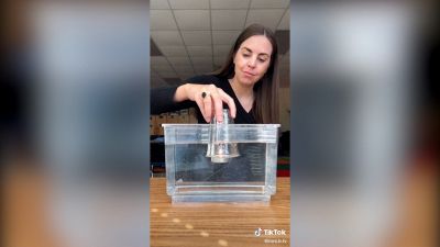 Svelato il trucco della candela nell'acqua: come funziona