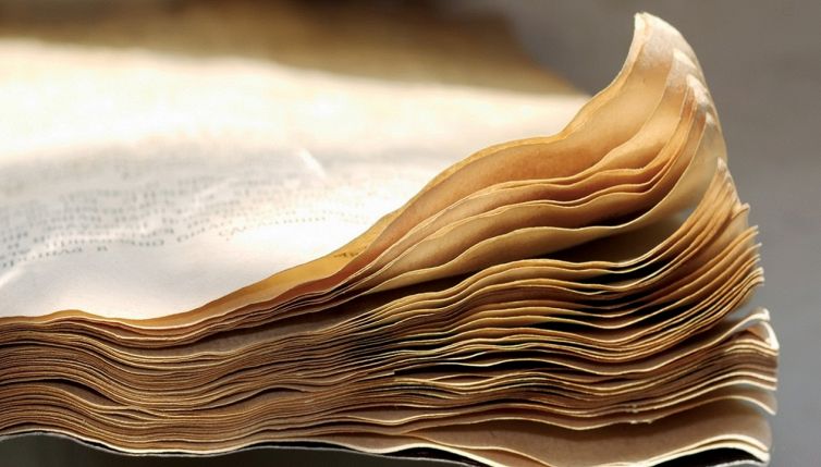 Libri e carta si bagnano per errore? Salvali così