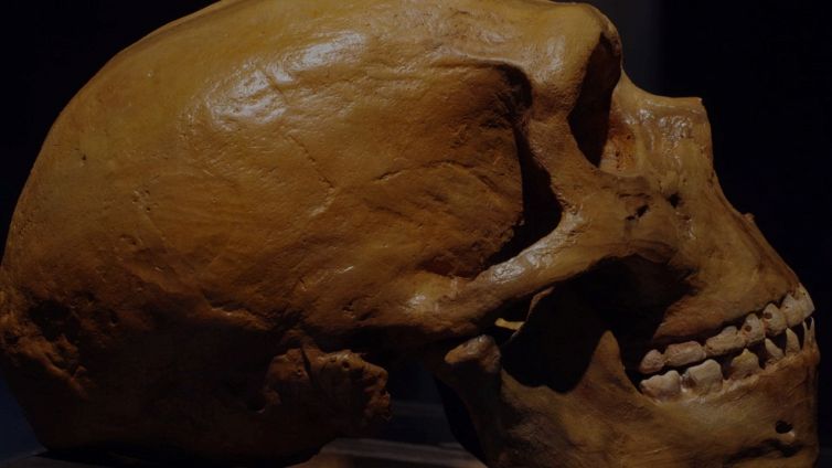 Scavano in una grotta antica e fanno una scoperta incredibile
