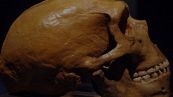 Neanderthal al Circeo: la scoperta incredibile