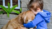 Bambino vende carte rare per curare il cane: la sorpresa
