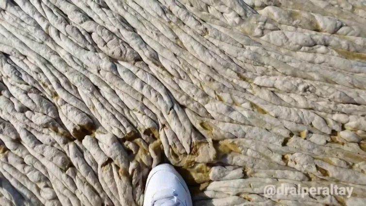 Sembra un enorme tappeto, invece è mucillagine