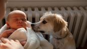 Come preparare il cane all’arrivo di un bebè