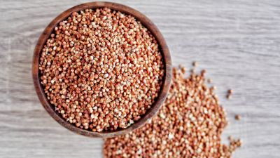 Sorgo, perché portarlo in tavola