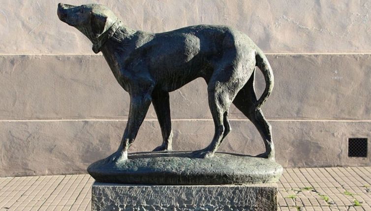 Cane aspetta il padrone per 14 anni: il gesto della città