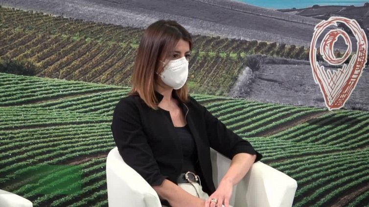 Ismea, in vendita 16 mila ettari di terreni agricoli