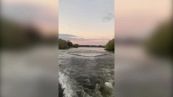 Ippopotamo insegue turisti, il video spaventoso dalla barca