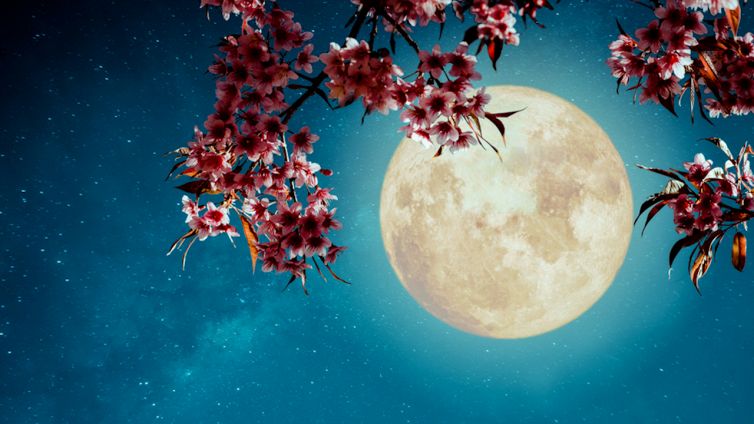 24 giugno, come ammirare la 'luna piena della fragola'