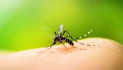 Pesticidi: i codici delle etichette che rivelano se e quanto sono nocivi