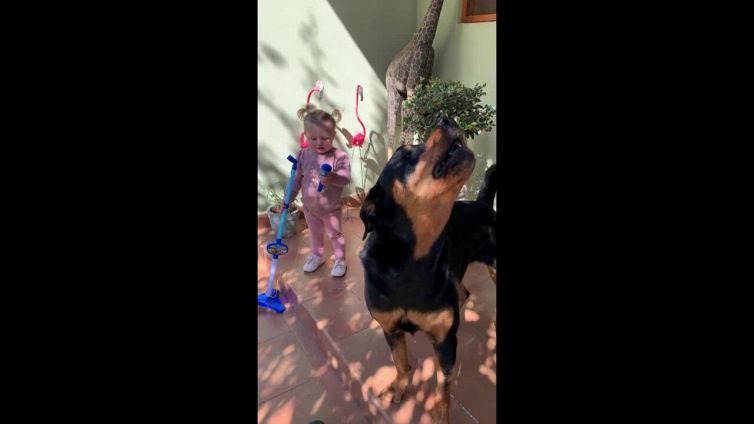 La bimba e il rottweiler improvvisano un concerto... bestiale!