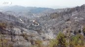 Cipro, le immagini dal drone della foresta di Troodos bruciata