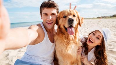 Fido in spiaggia, 7 regole da rispettare