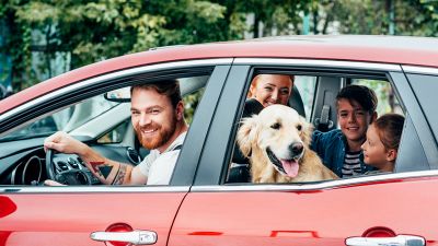 In viaggio con Fido, come portarlo in auto