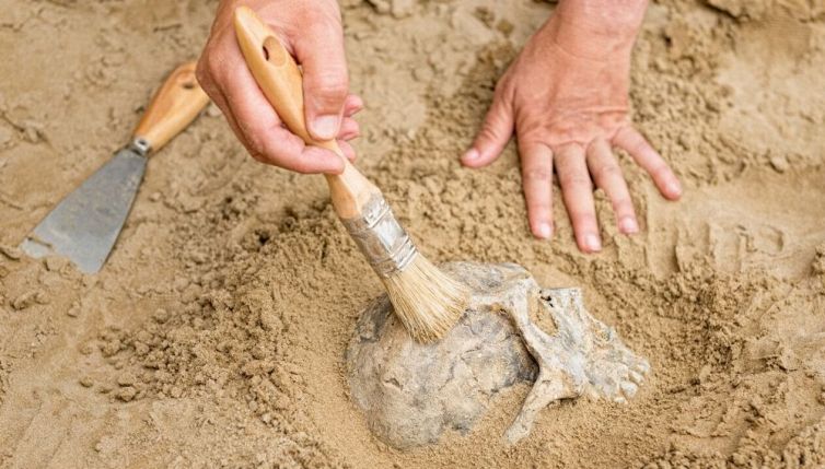 Nuova specie umana, scoperto dna sconosciuto nel fango