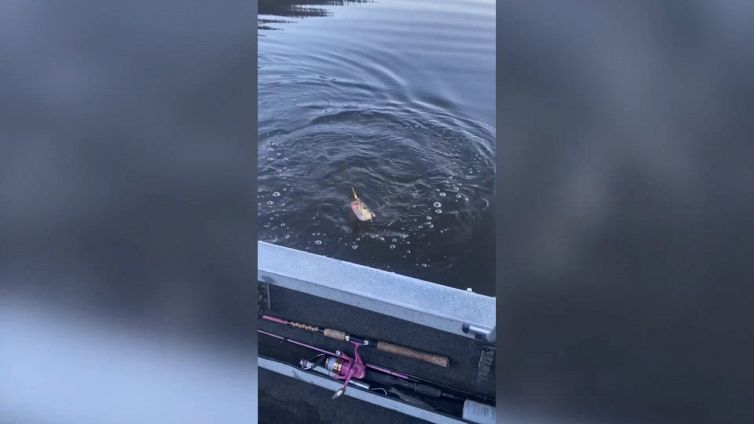 Una pesca che finisce in modo incredibile