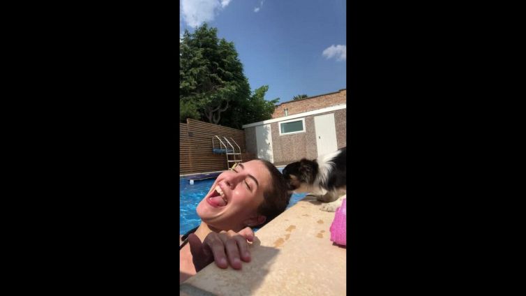 Il tenero cucciolo salva la sua padrona in piscina