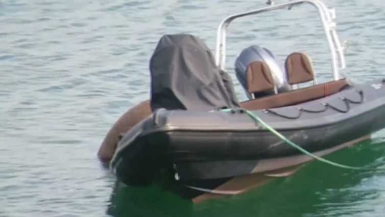 Tricheco si annoia in acqua: quello che fa con la barca è da ridere