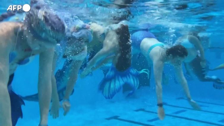 Magnifiche sirene nuotano nell'acqua: l'incontro incredibile