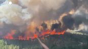 Francia, incendio vicino Saint-Tropez: le fiamme bruciano la foresta
