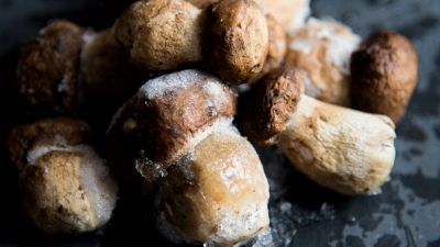 4 modi per conservare i funghi freschi