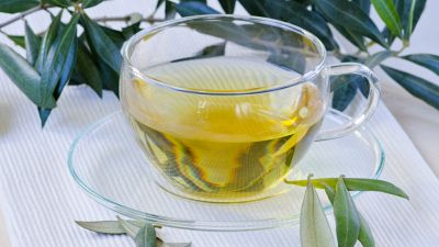 Infuso di foglie d'ulivo, un eccellente antibiotico naturale