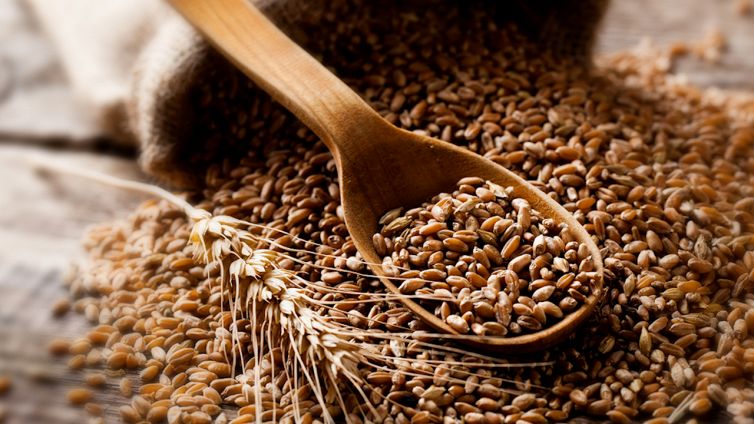 La dieta dei cibi "vivi"