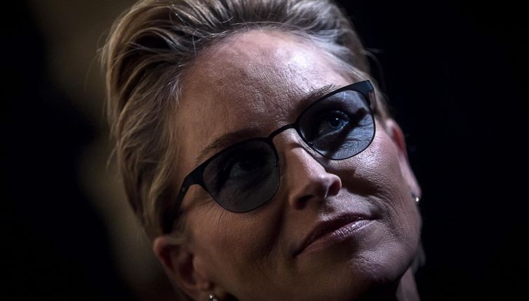 Sharon Stone, il nipotino non ce l'ha fatta: cosa è successo