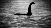 Mostro di Loch Ness, avvistato col sonar: l'ipotesi sul plesiosauro