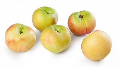 Sbergia, alla scoperta di un antico (e squisito) frutto siciliano