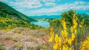 La bellezza del lago di Cingoli, tra acque turchesi e natura
