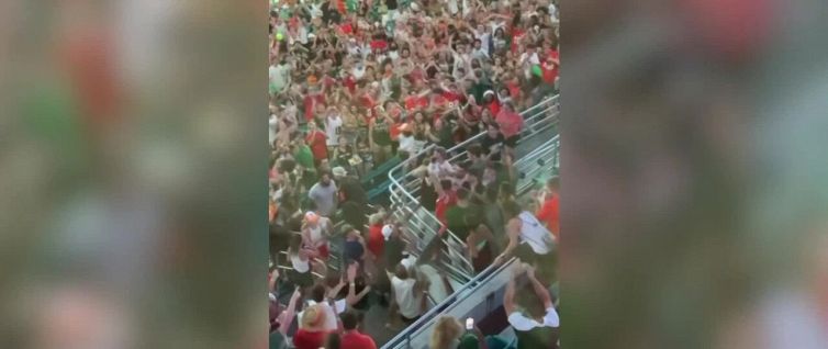 Gatto vola dalla tribuna dello stadio: salvato con una bandiera