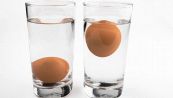 Uova scadute: il trucco infallibile per sapere se si possono mangiare