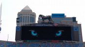 Carolina Panthers, la pantera irrompe nello stadio e strappa la bandiera degli avversari