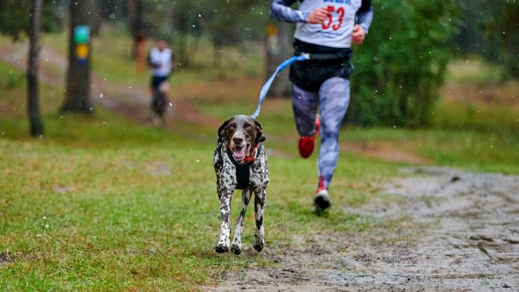 Canicross: correre con il tuo cane fa bene